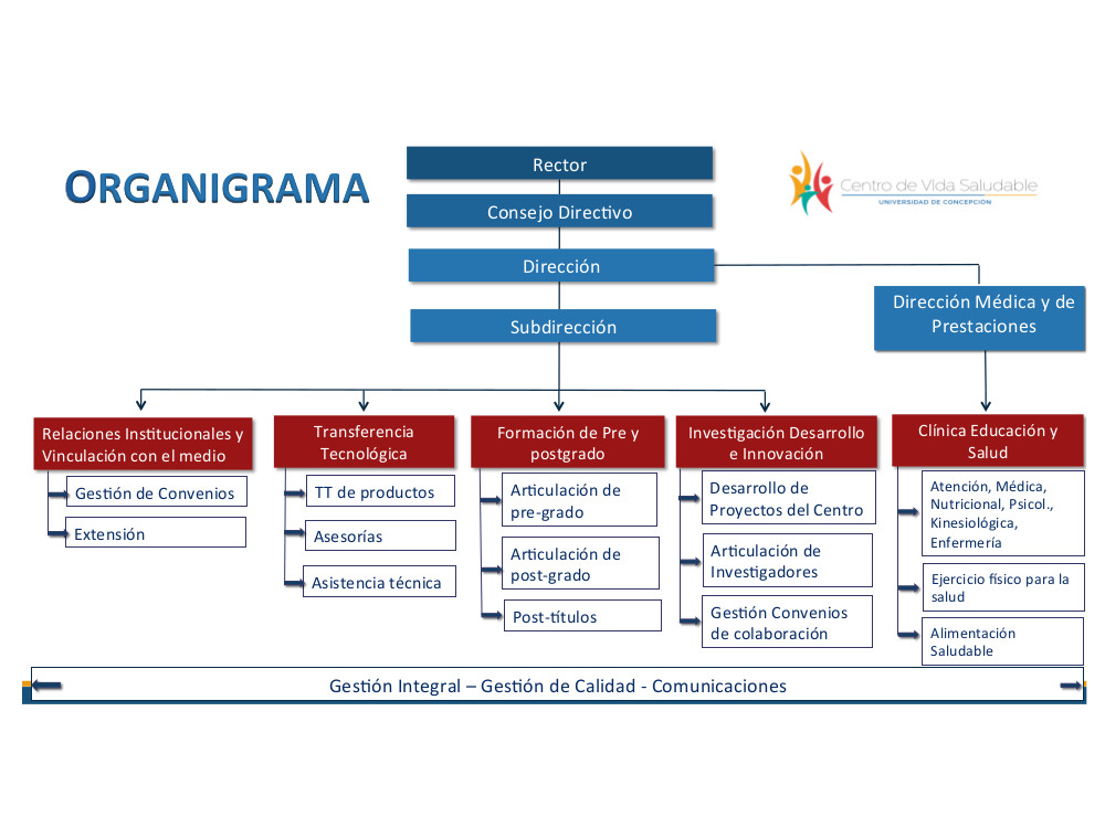 organigrama-vida-saludable.jpg